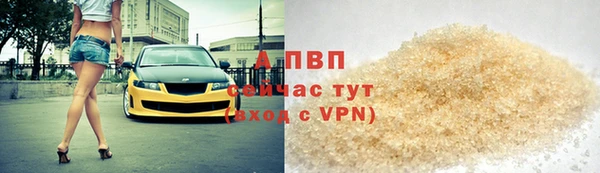 прущие грибы Верея