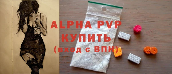 прущие грибы Верея