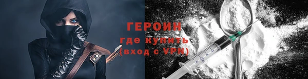 прущие грибы Верея