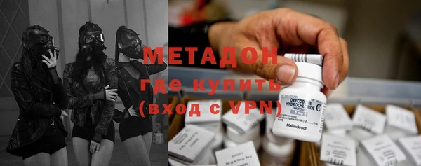прущие грибы Верея