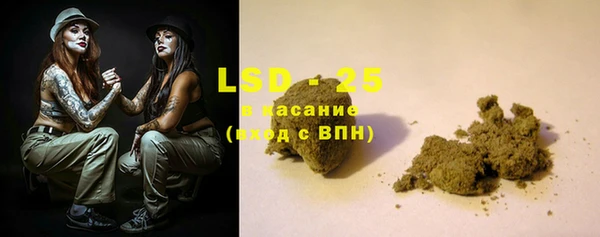 прущие грибы Верея