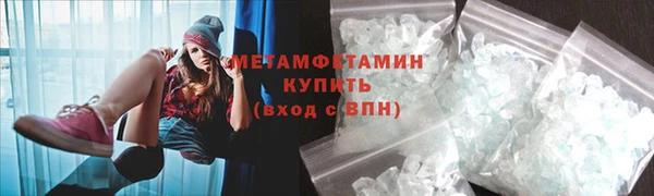 прущие грибы Верея