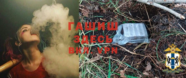 прущие грибы Верея