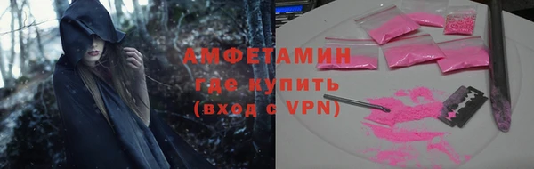 прущие грибы Верея