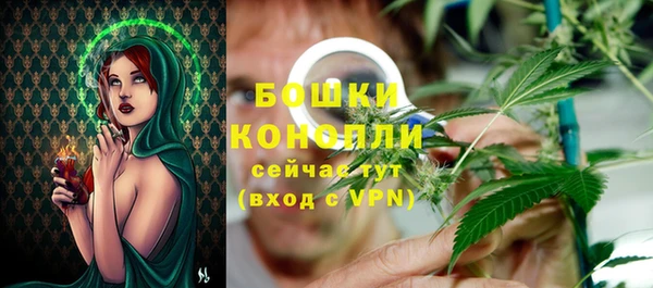 прущие грибы Верея